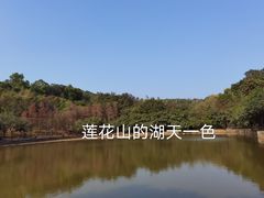 -莲花山公园