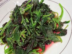 -茶人村·前滩江景雅宴(上海首店)