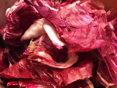 -北京园博大酒店