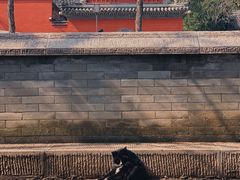 -大觉寺-停车场