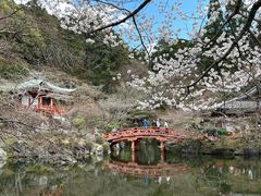 -醍醐寺