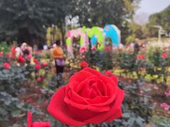 -人民公园(罗湖区)