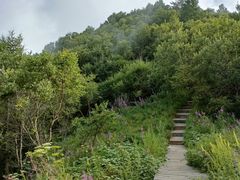 -白草畔自然风景区