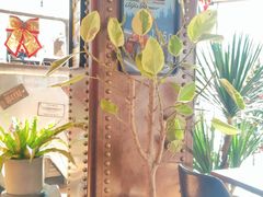 -1886德国汽车餐厅(外滩中央店)