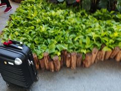 -南宁吴圩国际机场-T2航站楼