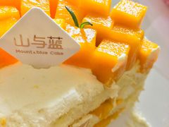 -山与蓝·轻糖鲜果蛋糕(勒泰店)