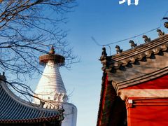 -妙应寺白塔