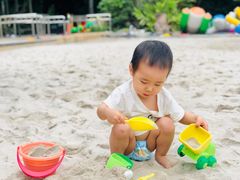 -成都保利公园皇冠假日酒店(熊猫基地店)