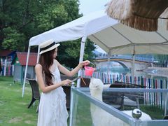 -上海佘山世茂艾美酒店