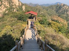 -大岭沟猕猴桃谷风景区