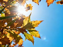 -西安市长乐公园