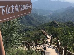 -大岭沟猕猴桃谷风景区