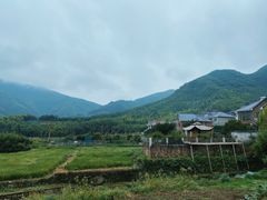 -莫干山风景区