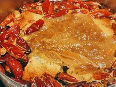 -西安浐灞艾美酒店·汉江餐厅·火锅