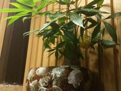 -川里谈·川味小馆(北京路店)