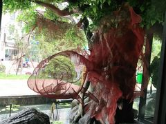 -院里寻菜·精致庭院菜(观沙岭店)