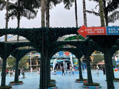 -海合安成都极地海洋公园