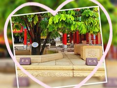 -广东圆玄道观