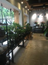 -花落谁家婚礼策划(永安街店)