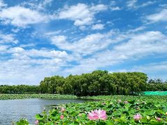 -东郊湿地公园