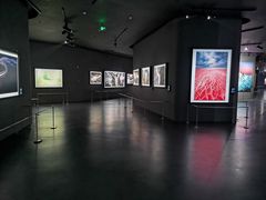 -罗红摄影艺术馆