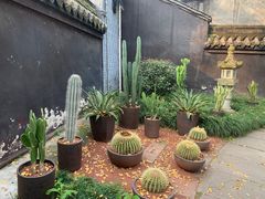-宝光寺