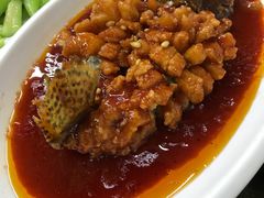 -协和菜馆(凤凰街店)