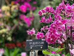 -上海辰山植物园