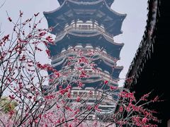 -洋湖国家湿地公园