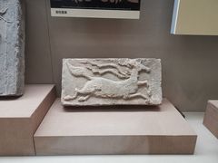 -敦煌市博物馆