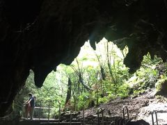 景点-怀托摩萤火虫洞