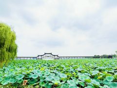 -锦溪古镇