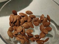 -老屋印象川菜(马园路店)