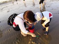 -刘家湾赶海园