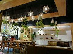 大堂-柴务处·柴犬主题狗咖