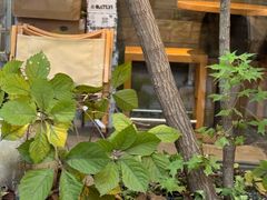 -VOYAGE COFFEE(杨梅竹店)