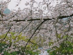 -杭州少年儿童公园