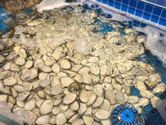 水产区-乔哥铭洋海鲜自助(皇城恒隆广场店)