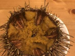 -海胆小馆(东北水饺·春柳店)