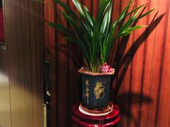 -花家怡园