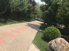 -黄村公园