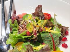 特色牛肉有机蔬菜沙拉-燃扒房Steakhouse(皇庭店)