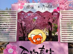 -杭州少年儿童公园