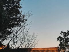 -西湖国宾馆·紫薇厅