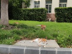 -东华大学第一食堂(松江校区店)