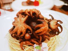 -鲁宴·鲁煨黄河生态大鲤鱼(月坛店)