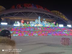 -沈阳奥体冰雪嘉年华