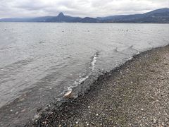 -抚仙湖禄充风景区