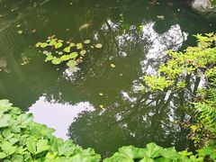 -惠山古镇·寄畅园