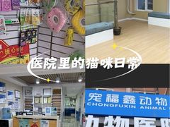 -宠福鑫动物医院(立水桥分院)